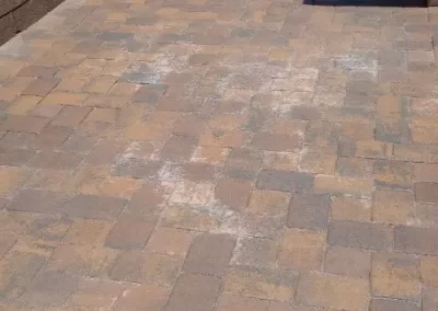 Landscaping Company